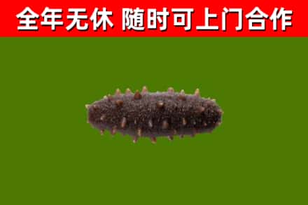驻马店市烟酒回收干海参.jpg